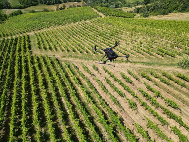 Drone Monitoring in Agriculture: major advantages for resource optimization